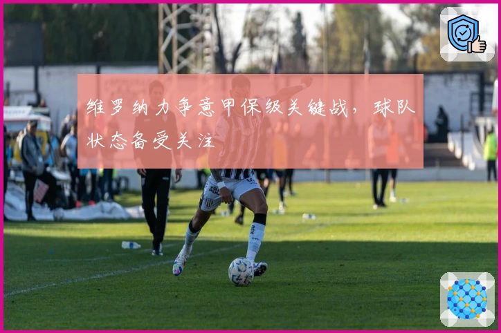 维罗纳力争意甲保级关键战，球队状态备受关注